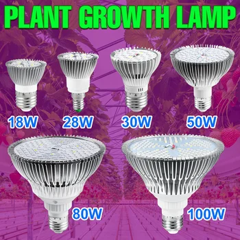 220V LED Grow Lempa Visą Spektrą Augalų Lemputė E27 Fito Lempa E14 Fitolamp efektą Sukeliančių Hydroponic Gėlių Sodinukai Phytolamp